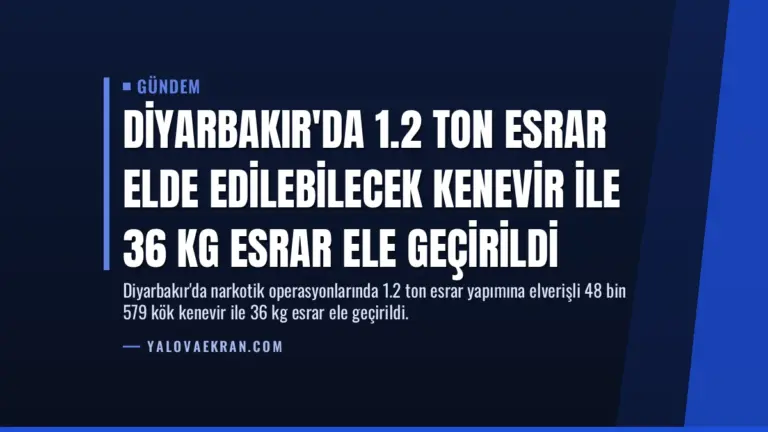 Diyarbakır’da 1.2 Ton Esrar Elde Edilebilecek Kenevir İle 36 Kg Esrar Ele Geçirildi