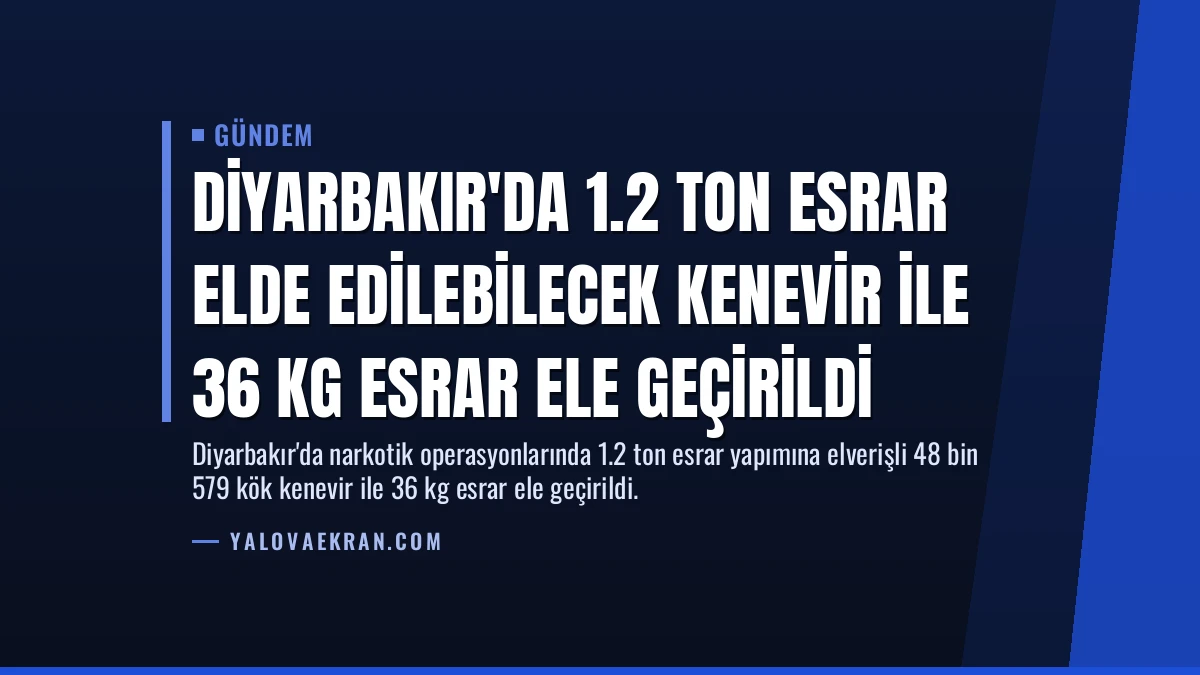 Diyarbakır’da 1.2 Ton Esrar Elde Edilebilecek Kenevir İle 36 Kg Esrar Ele Geçirildi