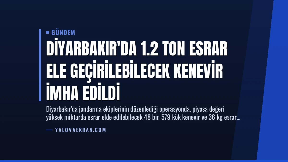 Diyarbakır’da 1.2 Ton Esrar Ele Geçirilebilecek Kenevir İmha Edildi
