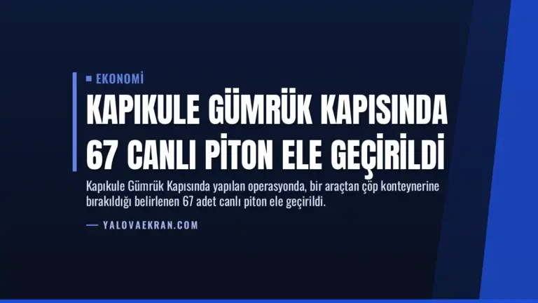 Kapıkule Gümrük Kapısında 67 Canlı Piton Ele Geçirildi