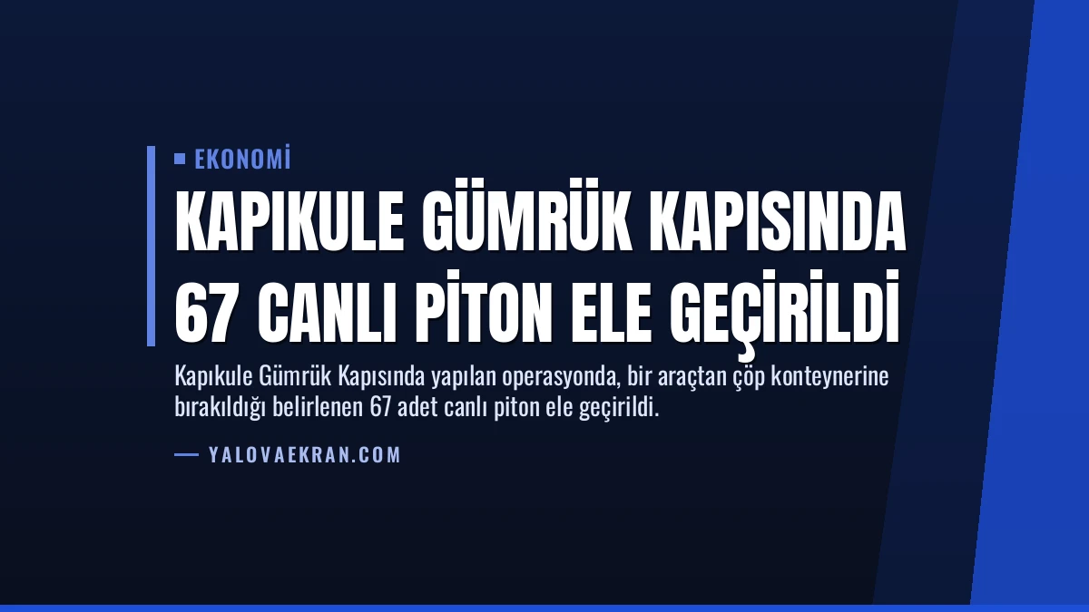 Kapıkule Gümrük Kapısında 67 Canlı Piton Ele Geçirildi