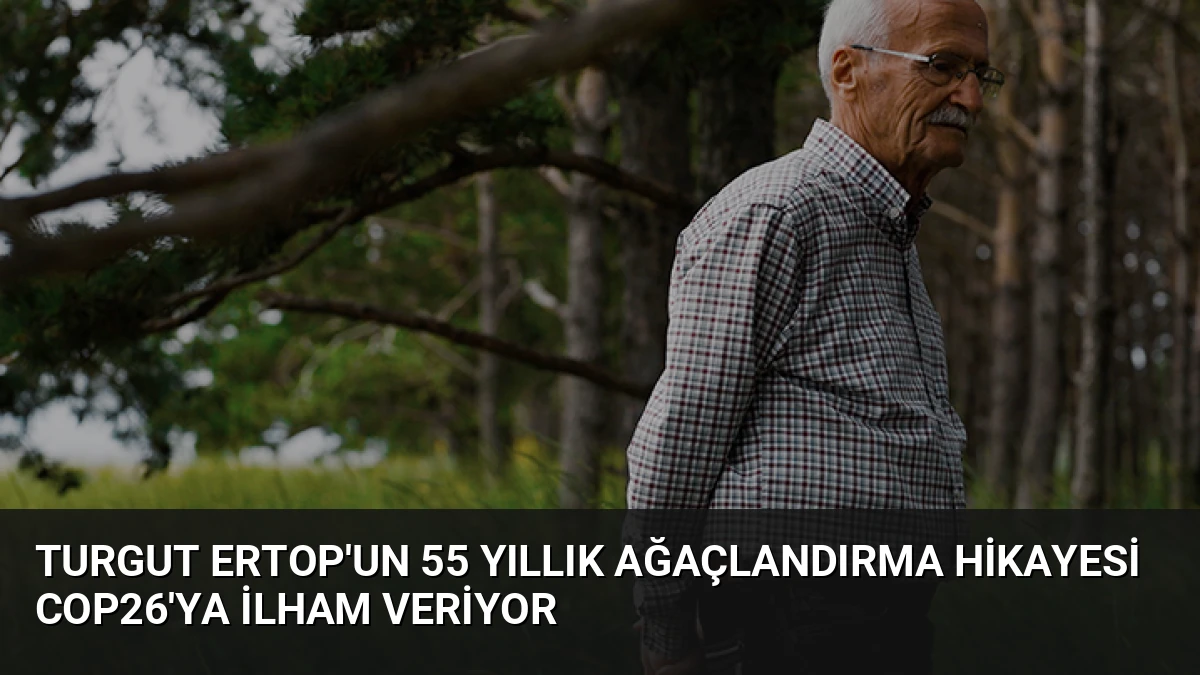 Turgut Ertop’un 55 Yıllık Ağaçlandırma Hikayesi COP26’ya İlham Veriyor